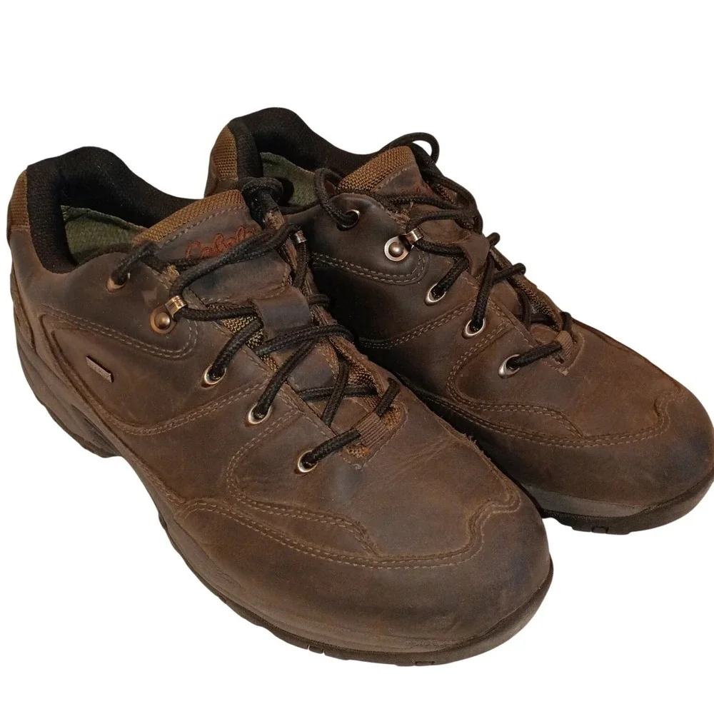 Cabelas Dry-Plus Mens 10.5 D Brown Leather Waterproof Hiking Shoes 82-4332 Low